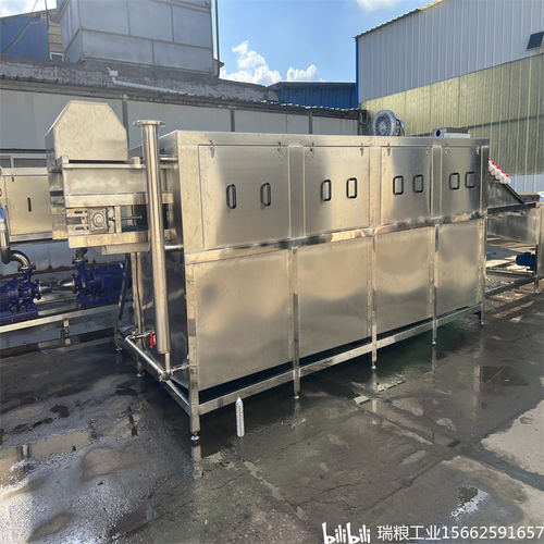 一站式解決大姜生產難題，選擇瑞糧食品工業裝備大姜清洗機商用設備